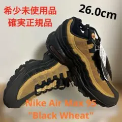 Nike Air Max 95 