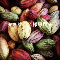 ★さゆっこ様専用★のサムネイル