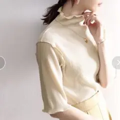 classicalelf プリーツ　ハイネック　５部袖　トップス　XL