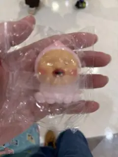 こびとづかん ライトマスコット カクレモモジリ