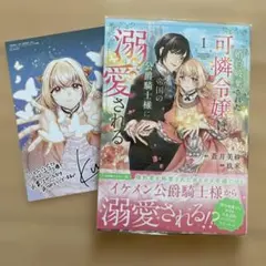 婚約破棄された可憐令嬢は、帝国の公爵騎士様に溺愛される 1