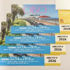キャッスル高浜 グランドオープン入場券 12/28・1/4 - メルカリ