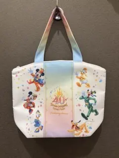 東京ディズニーランド40周年グランドフィナーレスーベニアランチバック