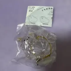 うちの子のけだまだま　犬　チワワ(白)