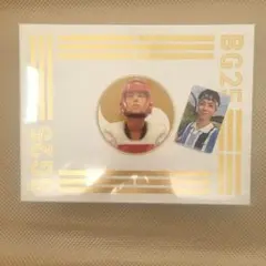 Item thumbnail for item e0b09d9d-666c-46c6-962e-ae82f9d20888