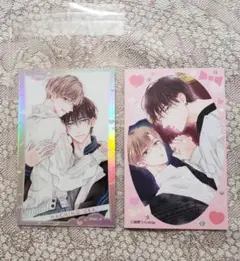 drap25周年記念展 鉢野うら オーロラカード　特典　前半