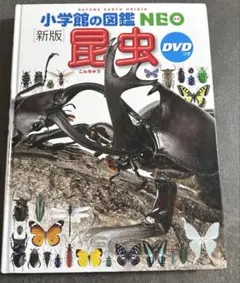 小学館の図鑑NEO昆虫DVD付き カバー無し