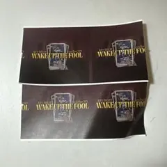 WAKE UP THE FOOL 2025年ツアーチケット　半券　2枚セット