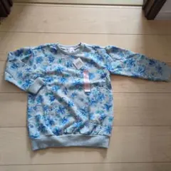 Item thumbnail for item f578297a-579a-4d97-87ee-cde21723c5ba