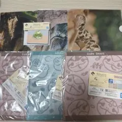 一番くじ　爬虫類&両生類　H賞　G賞　J賞　セット
