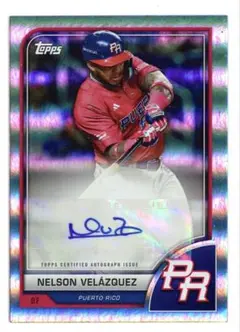 2026年最新】wbc クッションの人気アイテム - メルカリ