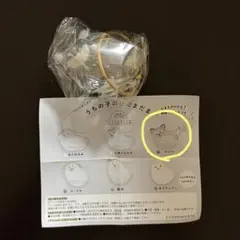うちの子けだまだま　チワワ