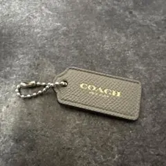 COACH チャーム キーホルダー　グレーのサムネイル
