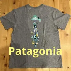 パタゴニア　patagonia レスポンシビリティーTシャツ