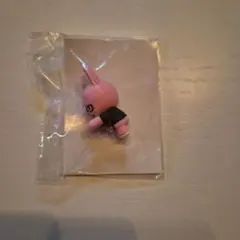 StrayKids スキズ　FCくじ　D賞 トェッキ