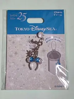 はち様 リクエスト 2点 まとめ商品