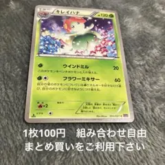 キレイハナ　XY7 在庫2