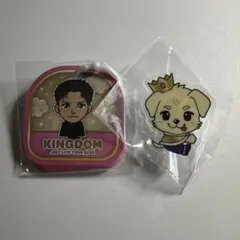 三代目JSB KINGDOM 岩田剛典 メモ アクセサリー セット