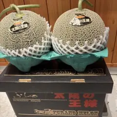 糖度19!! 「太陽の華」富良野メロン 2玉 品種：ティアラ - メルカリ