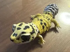 Item thumbnail for item bb1aff22-bf01-4042-bc9d-b7eedbbe8f78