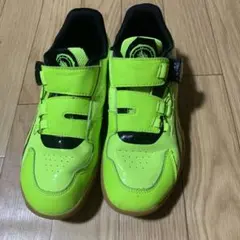 Item thumbnail for item 2176547a-31ee-4094-ac7a-3b8ef1450548