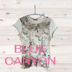 【BLUECANYON】カットソー 半そで オシャレデザイン