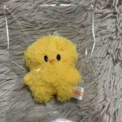 2026年最新】bbokari ぬいぐるみの人気アイテム - メルカリ