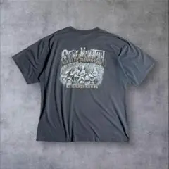 USA製Harley-Davidson両面プリントTポケットTシングルステッチ