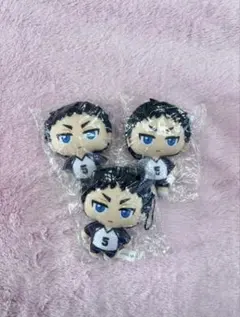 【ハイキュー ぬいぐるみマスコット2】