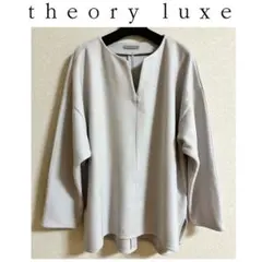 セオリーリュクス 2021年　トップス　グレー　38 ニット　手洗い可