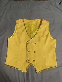 【ツイステ／サバナクロー／コスプレ／ベストLサイズ】