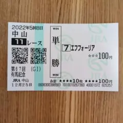 第67回 有馬記念 エフフォーリア 単勝馬券