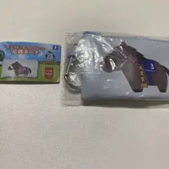 サラブレッドコレクション　応援ポーチ　スペシャルウィーク