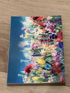 earthly flowers,heavenly colors