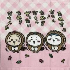 ちいかわ ハンドタオル たぬきだもん　1枚
