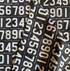 Free Spirit USAプリント 数字柄 生地