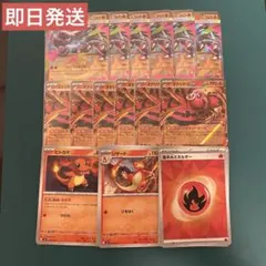 ポケモンカード メガリザードンX ex オドリドリex 汎用 デッキパーツ