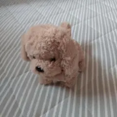 トイプードル ぬいぐるみ