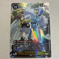 デジモンカード サンドリモン 2枚 - メルカリ