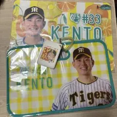 Item thumbnail for item fe920c1c-2b5c-4a41-bda8-6cf938934cf4