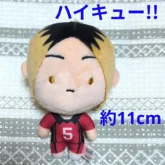 N225 ★美品★ ハイキュー!!　孤爪研磨　マスコットチャーム しまむら