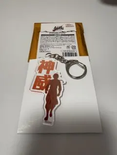銀魂　吉原大炎上　お名前キーホルダー　神威