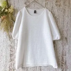 デイジー　5分袖トップス(M)白　無地　ポップコーン　パフスリーブ a1375