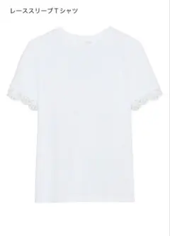 【新品未使用タグ付き】★ZARA　Tシャツ　ストレッチ　白　袖口レース★