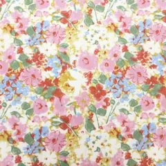 リバティ❇️チビチビキッチン別注シェイデッドブルームス❇️生地幅×50㎝