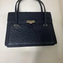 一度使用のみ❣️ ほぼ新品❣️オーストリッチバック　黒 オーストリッチ スポット製品 