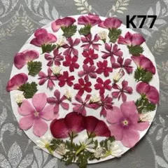 No,957 特小小花ミックス ドライフラワー花材 - メルカリ
