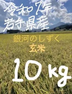 令和7年度【武川米】農林48号(よんぱち米)10kg（白米）お米10キロ