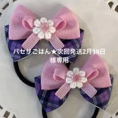 パセリごはん★次回発送2月19日様 リクエスト 3点 まとめ商品