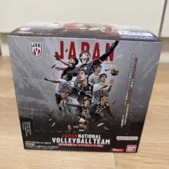 新品未開封品　バレーボール 男子日本代表 ツインウエハース 2026 1箱20袋